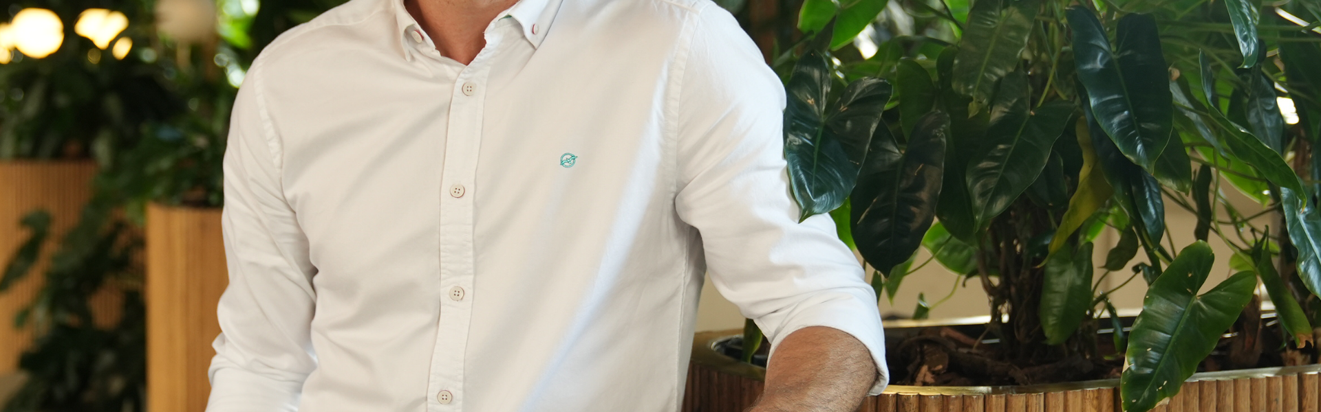 Camisas Básicas