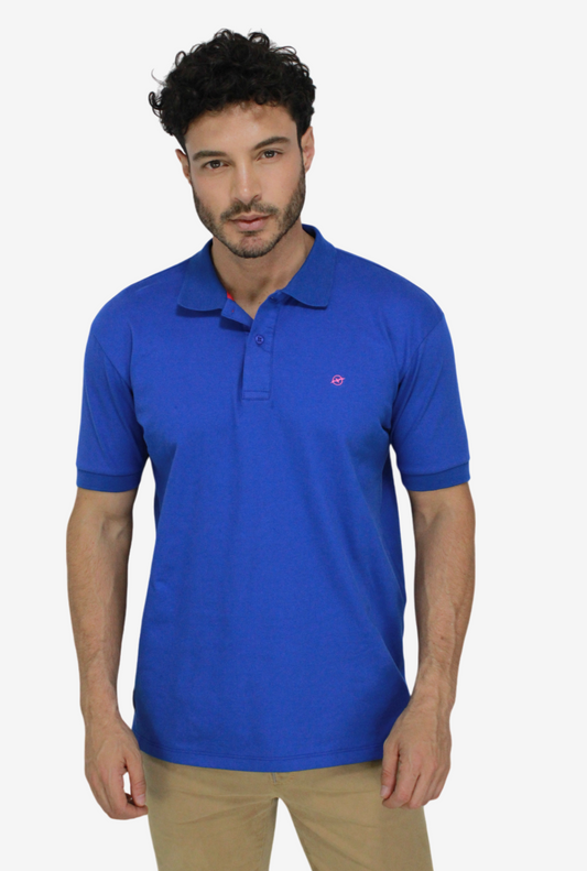 Camiseta Tipo Polo Azul Para Hombre  DMCPB08