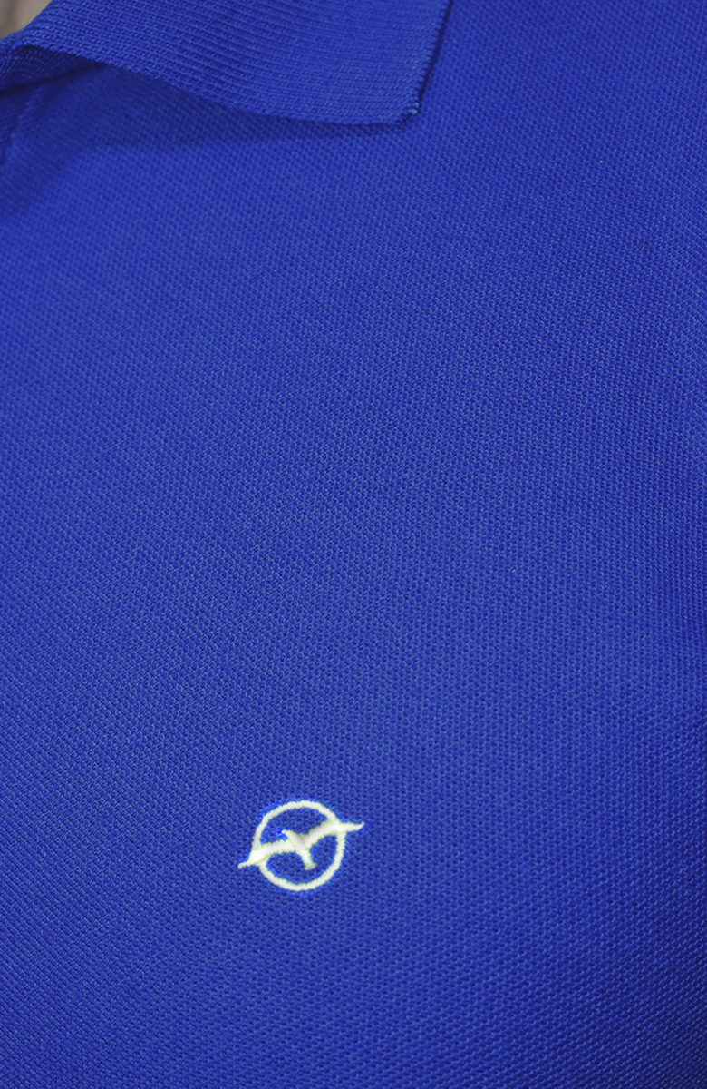 Camiseta tipo polo Azul  para Hombre