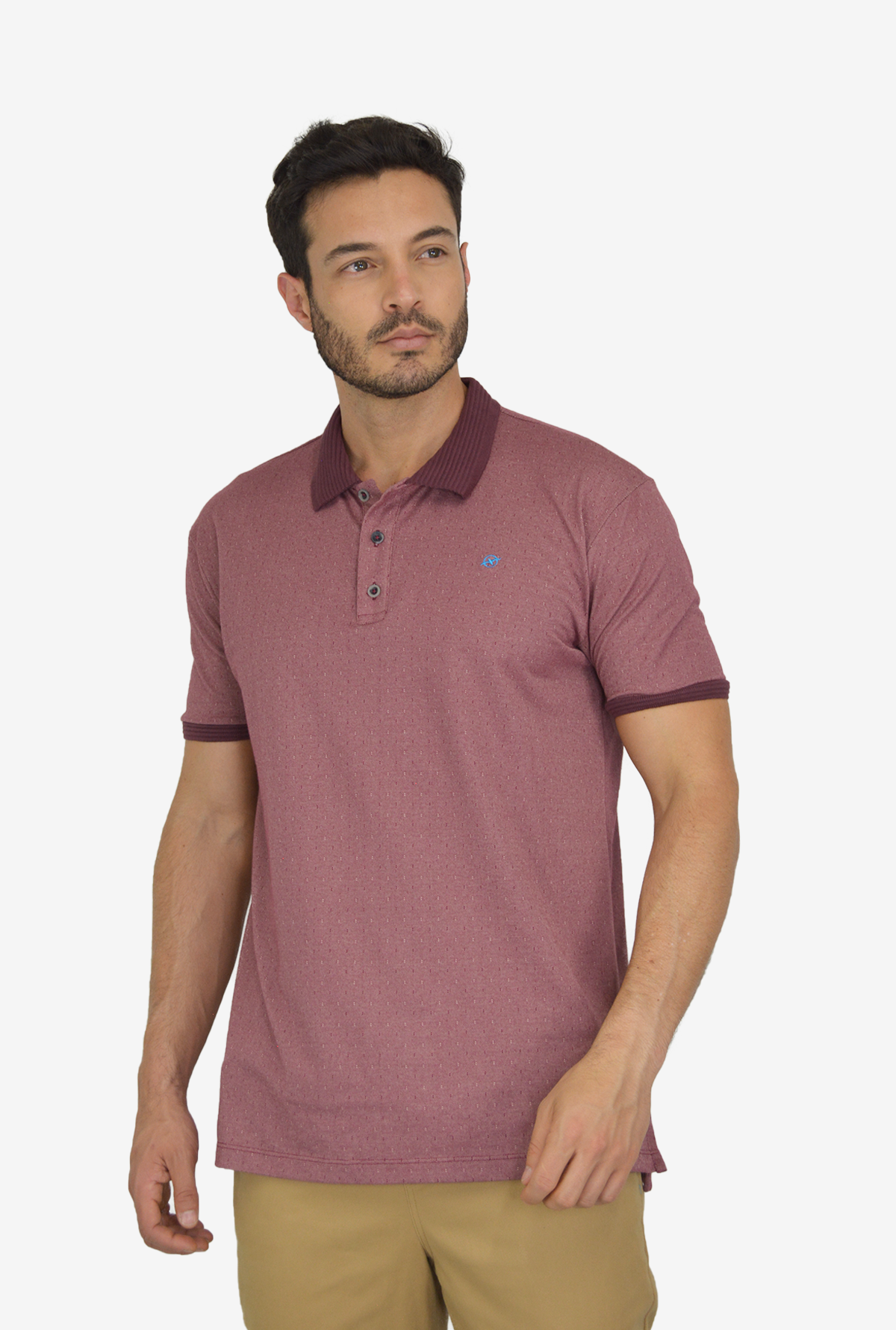 Camiseta de Hombre Tipo Polo con Tejido brasileño Vinotinto Para Hombre CP025